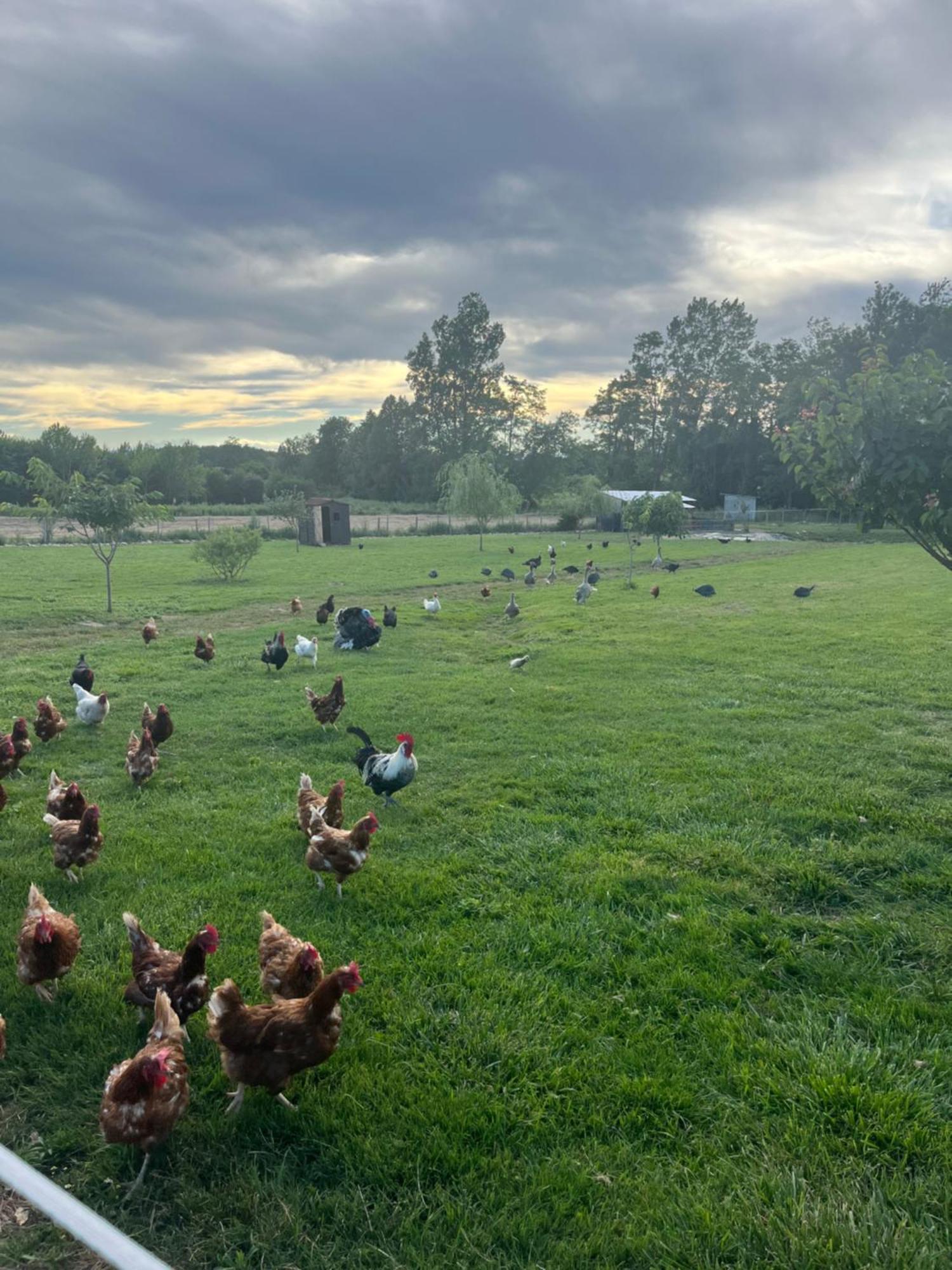 Gite1 Pour 6 Personnes Anneyron Exteriér fotografie